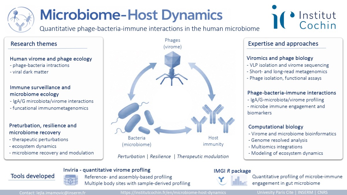Human virome and phage ecology, immune surveillance and microbiome interactions, virome perturbation, resilience and microbiome modulation