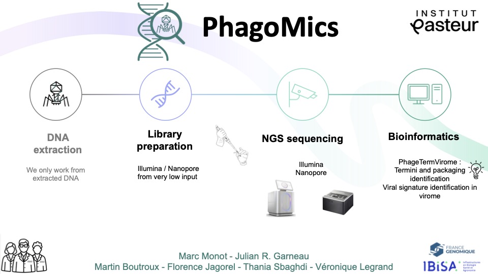 /images/equipes/Monot.jpg Représentation des activités du groupe PhagoMics, Escherichia coli, Lambda, T7, T5, HK97, P1