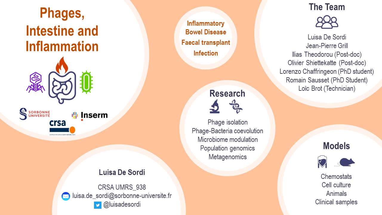 Représentation thématiques (inflammatory bowel disease, faecal transplant, infection)