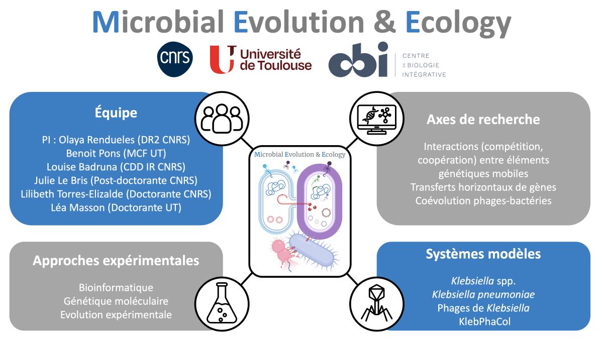 interactions entre éléments génétiques mobiles transferts horizontaux de gènes coévolution phages-bactéries Klebsiella KlebPhaCol