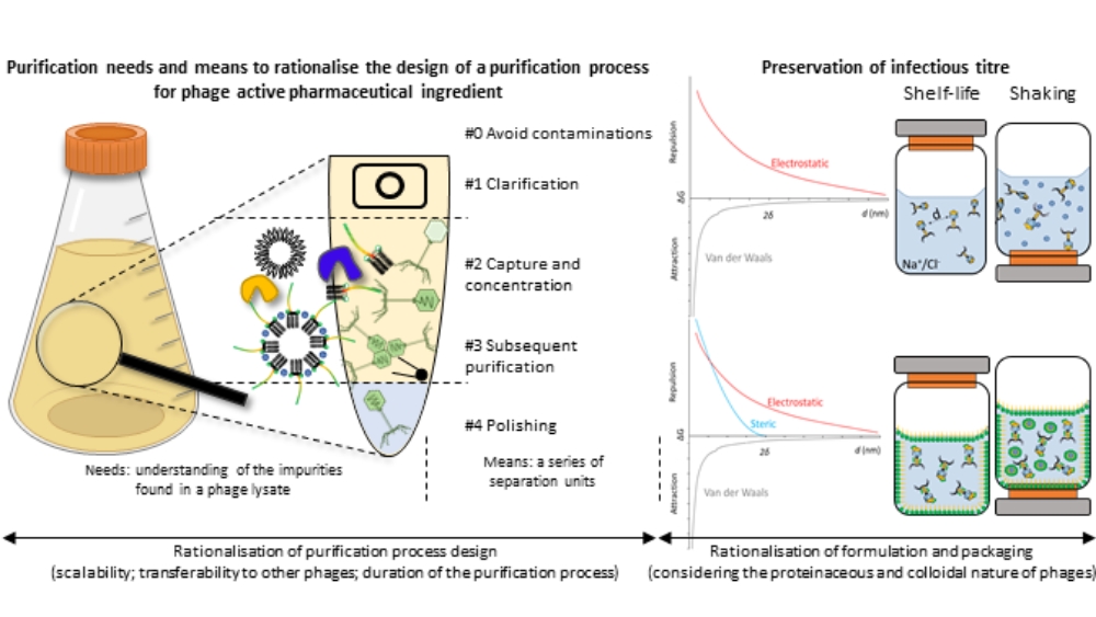 preservation infectious titre formulation